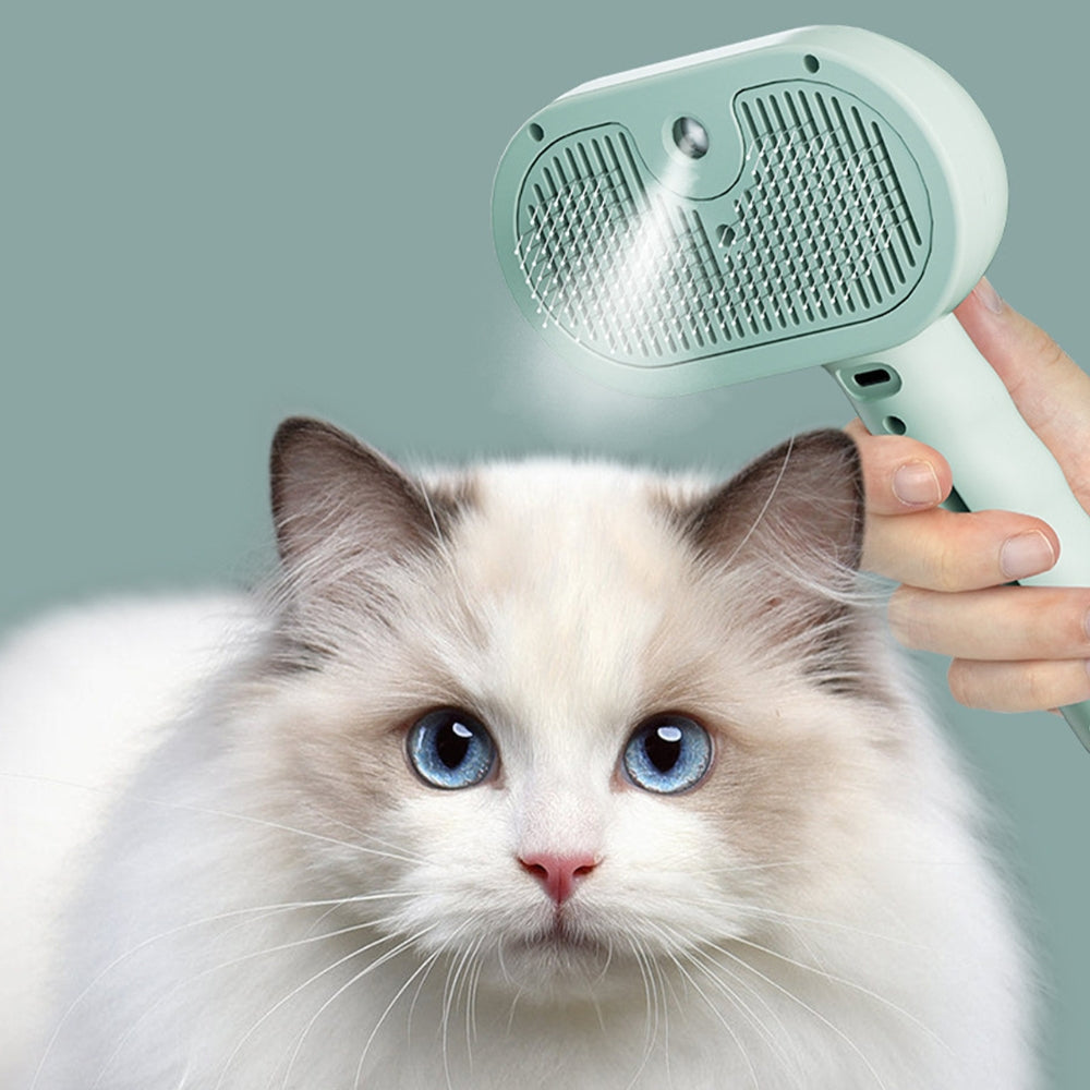 SteamBrush™ - Brosse de massage vapeur.